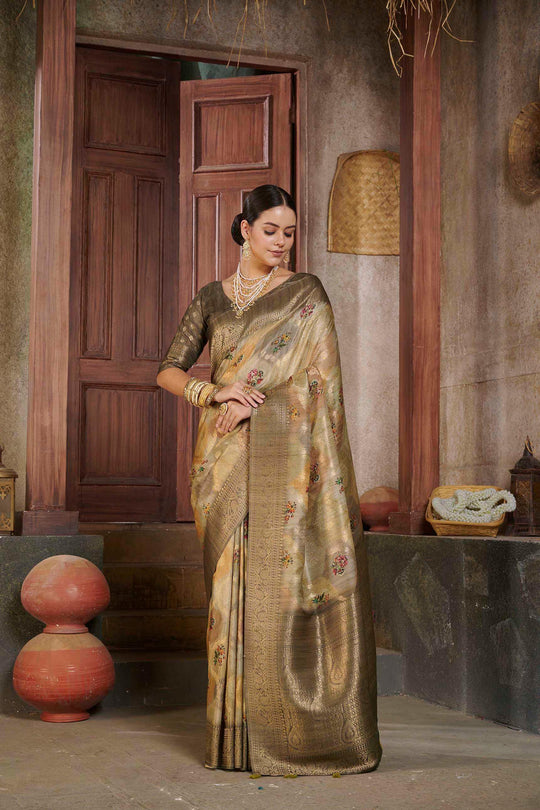 woman standing in Jacko Bean Colour Savannah Saree.